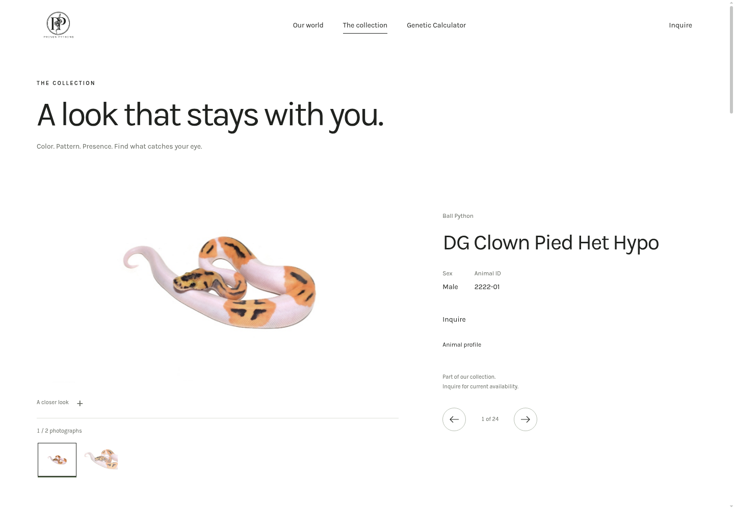 Proven Pythons website — collection page preview